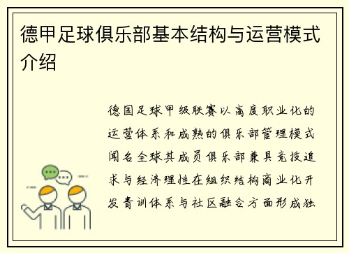 德甲足球俱乐部基本结构与运营模式介绍